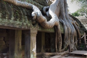 LC_0904: Cambodia - Angkcor site