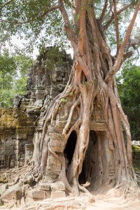 LC_0997: Cambodia - Angkor site