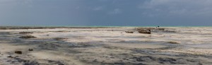 PAN_Jambiani: Tanzania - Low tide in Zanzibar